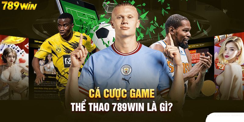  THỂ THAO 789WIN - Tích hợp nhiều sảnh cược nổi tiếng